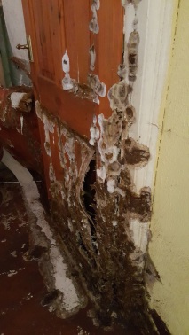 Dry Rot Treatment by a PCA Member in Derby & Nottingham