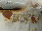 Dry Rot In Derbyshire