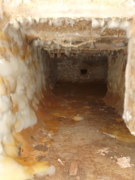 Dry Rot under a floor